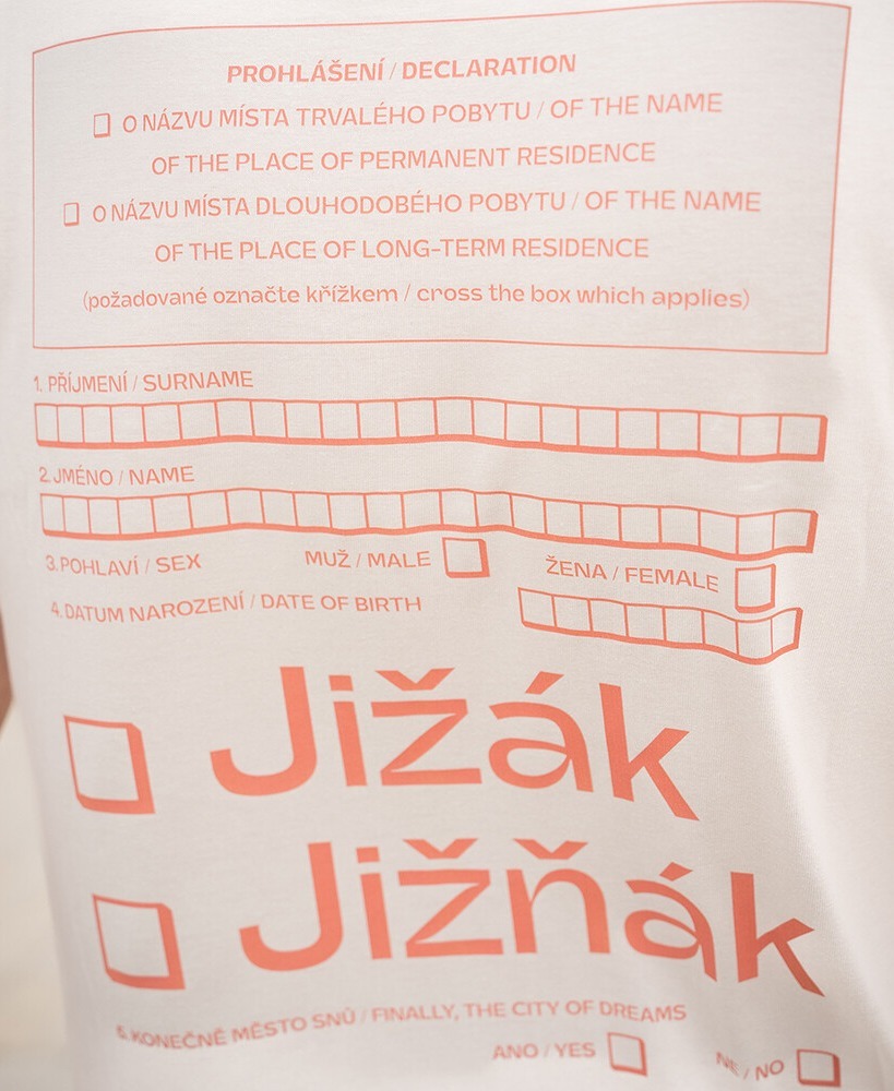 Tričko Již(ň)ák Deklarace